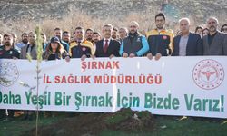 Cudi Dağı Eteklerinde 1000 Fidan Toprakla Buluştu