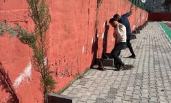 Silopi’de 2 Bin Fidan Toprakla Buluşuyor