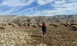 Mera Kanunu Kapsamında Şırnak’ta Arazi İncelemesi Yapıldı