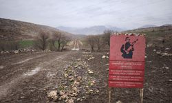 Şırnak'lı vatandaşlar köylerine dönmek istiyor ama izin yok