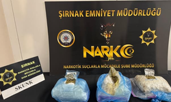 Şırnak’ta 1 Kilo Skunk Ele Geçirildi, 2 Gözaltı