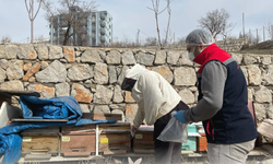 Şırnak’ta yem denetimleri sürüyor