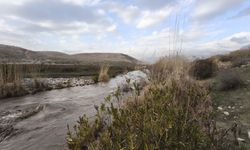 Nerduş Deresi Yeniden Çağladı, Çiftçinin Yüzü Güldü