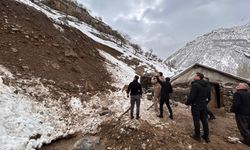 Beytüşşebap’ta Ahır ve Hayvan Zararları İçin Destek Başladı