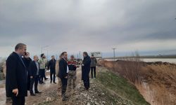 Silopi'de 550 dönüm buğday tarlası sular altında