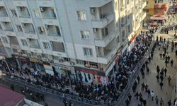 Cizre’de Dünya Anadil Günü İçin Yürüyüş