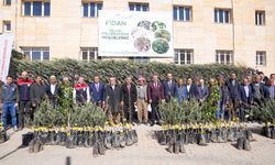 Şırnak’ta 25 Bin 200 Fidanla Yeni Meyve Bahçeleri Kuruluyor