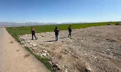 Şırnak Tarım Ekipleri Silopi'de Arazi İncelemesi Yaptı