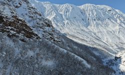 Şırnak Ormanlarında Görsel Şölen