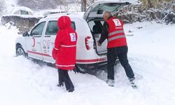 Şırnak’ta Bin Aileye Kızılay’dan Yardım ve Gıda Desteği