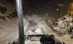 Siirt yolu açıldı, mahsur kalan vatandaşlar kurtarıldı