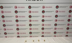 Şırnak Habur’da Dev Operasyon, Tırdan 2 Kilo  Altın Çıktı