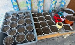 Bölgede Nevruz hazırlıkları başladı