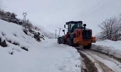 Beytüşşebap'ta Kar Mesaisi Devam Ediyor