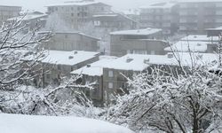 Şırnak–Hakkari Yolunda Sürücülere Uyarı Geldi