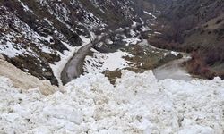 Van''da çığ, 1 mahalle ve 8 mezraya ulaşımı sağlanamıyor