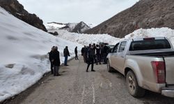 Çığ Beytüşşebap’ta Yolu Kapattı, Ekipler Sahada