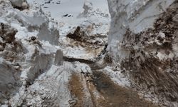 Şırnak'ta 11 Metrelik Karı Aşarak Bayram Yolunu Açıyorlar