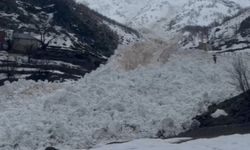 Köyde çığ paniği, Köy halkı faciadan döndü