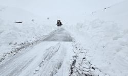 Kar yağışı nedeniyle Hakkari yolu ulaşıma kapandı