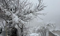 Hakkari karlar altında kaldı ulaşım yolları kapandı