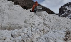 Şırnak'a son dönemlerin en büyük çığı düştü