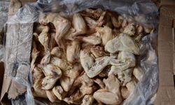 Zabıta ekipleri 50 ton bozuk tavuk ele geçirildi