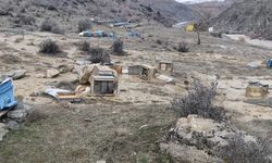 Selden Etkilenen 150 Arı Kovanı Zarar Gördü