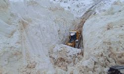 Kar 8 Metreyi Aştı, İş Makinesi Tünelde Yok Oldu