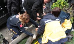 Cizre'de zincirleme kaza 4 araç birbirine girdi