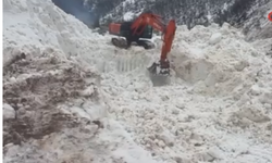 Çığ Şırnak’ta Yolu Kestirdi, Ekipler Harekete Geçti