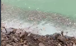 Siyahkaya Barajı için Silopi Belediyesi'nden yeni açıklama!