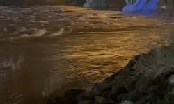 Cizre’de Dalış Alanları Sular Altında Kaldı