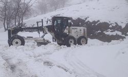 Şırnak'ta kapanan yollar açılıyor