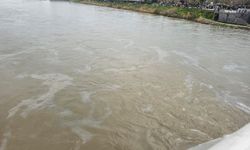 Cizre’de Boru Hattı Sızıntısı, Dicle Nehri Petrolle Kaplandı