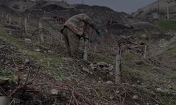 Bağcılık ve Serada Üretim Yapan Aileye Destek