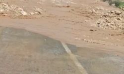 Cizre -Kasrik Yolu Çöktü, Kaya Parçaları Yola Savruldu