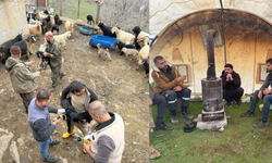 Uludere’de Hayvan Sağlığı İçin Seferberlik