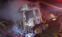 Mandalina yüklü tır cayır cayır yandı