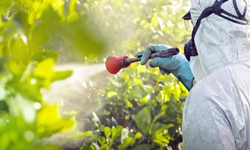 Şırnak’ta "Yetki Belgesi" Zorunlu Oluyor