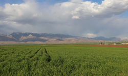 Şırnak’ta ÇKS Ürün Güncelleme Uyarısı