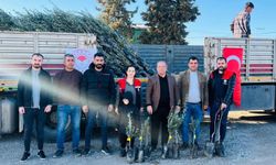 Silopi’de meyveciliğe büyük destek