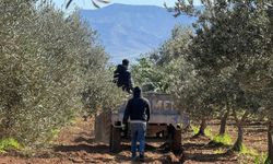 Silopi’de üreticiler fidanları toprakla buluşturdu