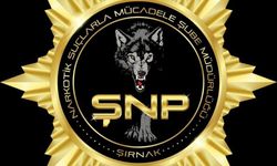 Şırnak polisi zehir tacirlerine göz açtırmıyor