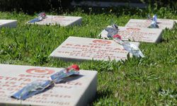 Çanakkale Şehitleri Cizre'de anıldı