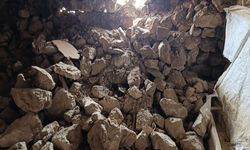 Van’daki depremde bir ahırın duvarı çöktü