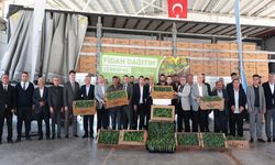 Karpuz üreticisi çiftçilere yüzde 50 hibeli fide desteği