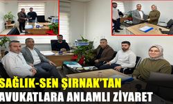 Sağlık-Sen Şırnak şubesi Avukatlar Günü’nü kutladı