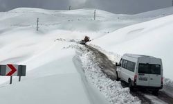 Van karayoluna çığ düştü, Yol yaklaşık 4 saat kapalı kaldı