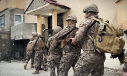 Hakkari'de kaçakçılık şebekesi çökertildi